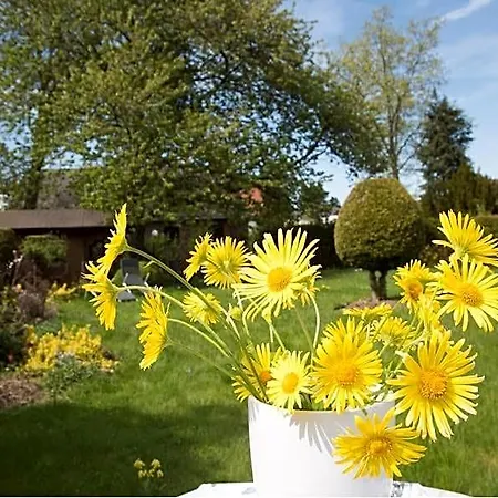 Bed and Breakfast Altes Forsthaus
