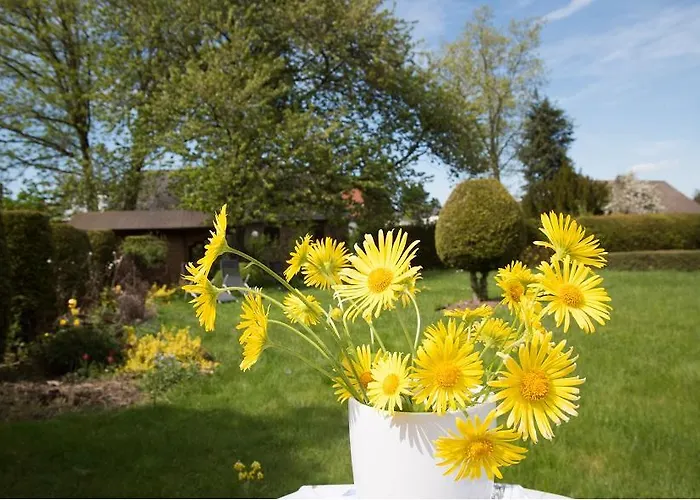 Altes Forsthaus マンダーシャイト